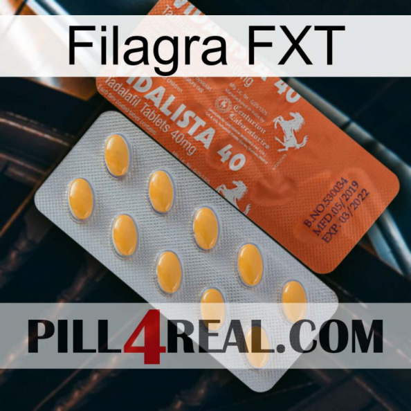 Filagra FXT 43.jpg